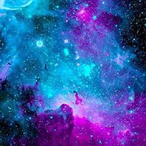 Meet your Posher, Adriana